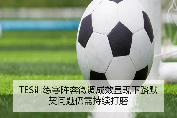 TES训练赛阵容微调成效显现下路默契问题仍需持续打磨